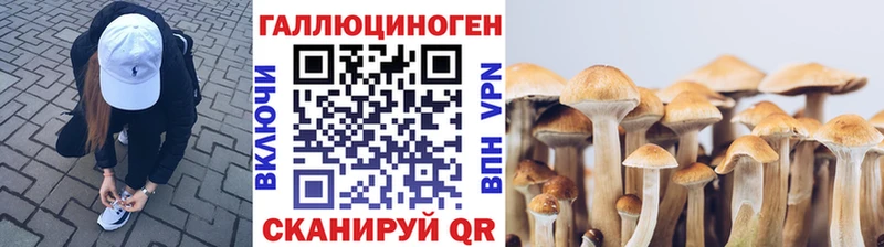 Псилоцибиновые грибы ЛСД  Купить где  Могоча 